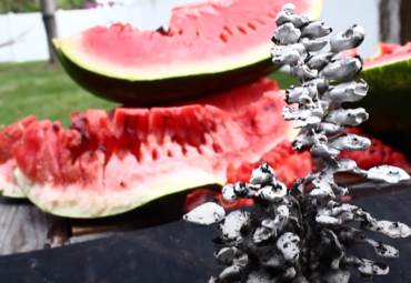 Aluminium in einer Wassermelone
