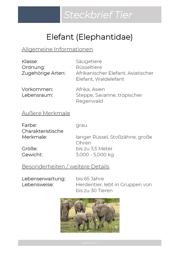 Steckbrief 3 Wirklich Tolle Vorlagen Muster Beispiele