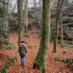Smartphone oder Kamera: Was ist wirklich besser zum Fotografieren?