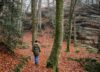 Smartphone oder Kamera: Was ist wirklich besser zum Fotografieren?